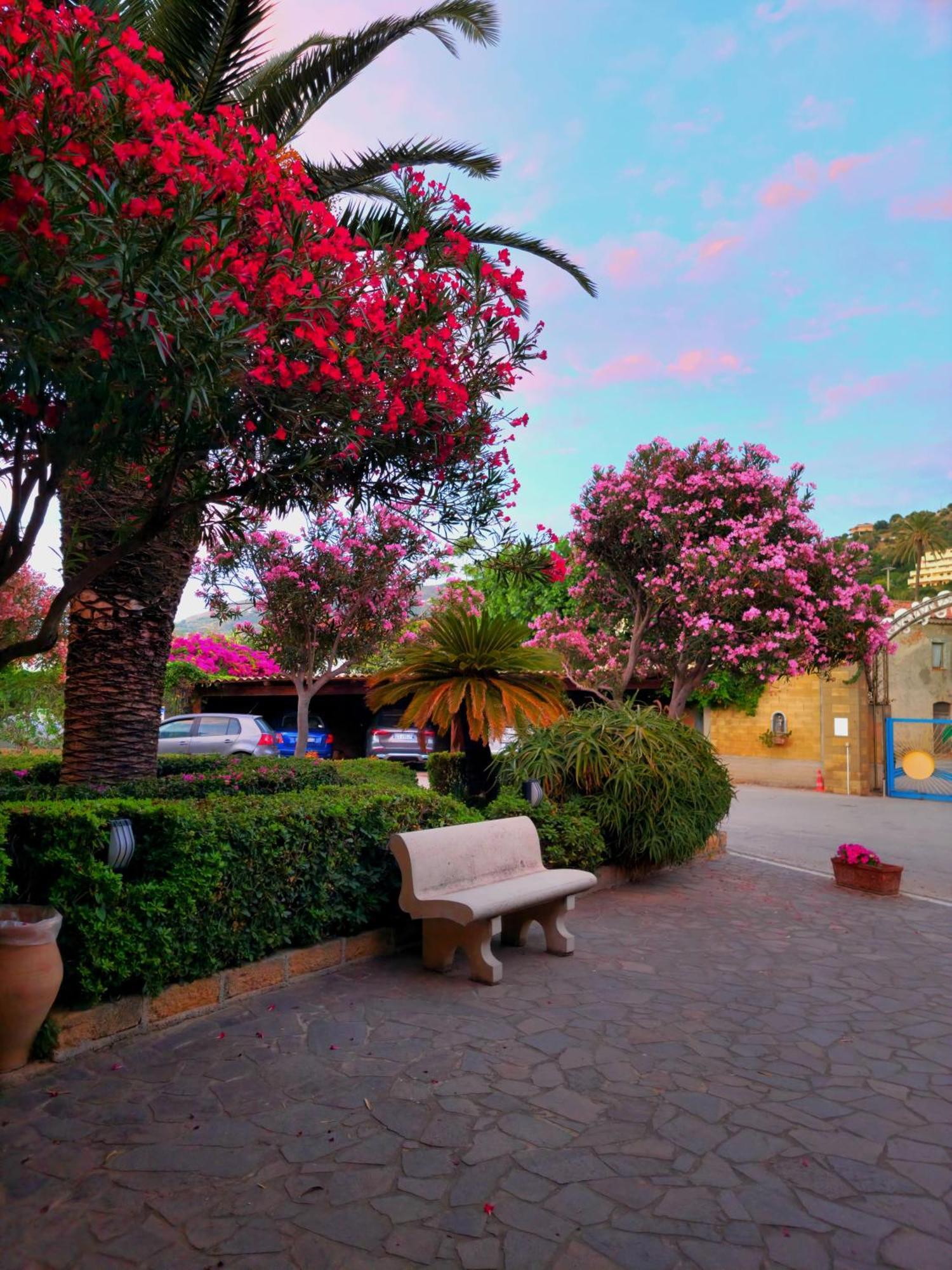 Villaggio Hotel Club Calanovellamare Piraino Exterior foto